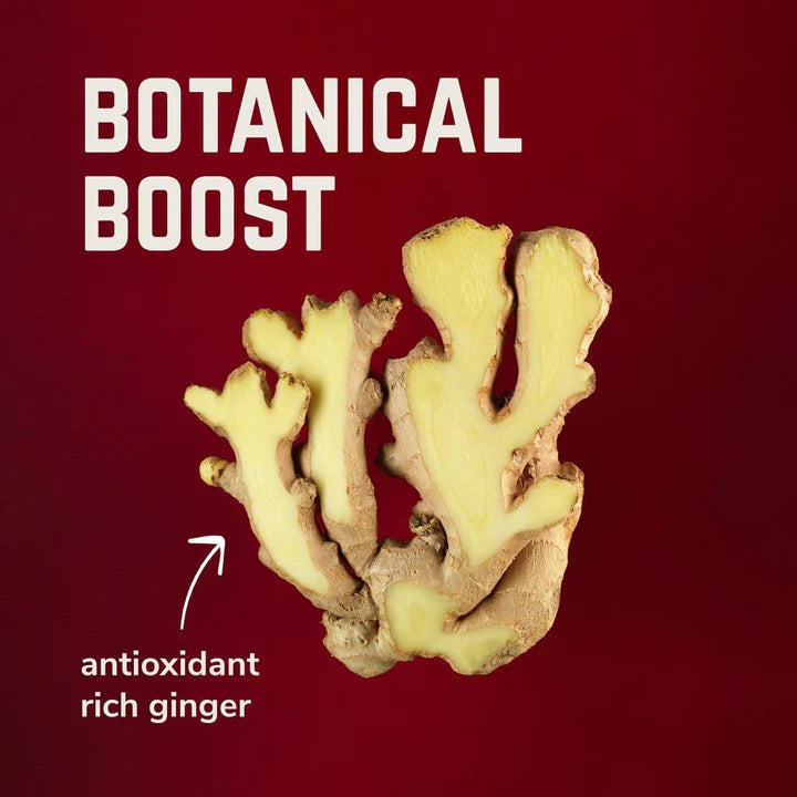 Tempo - Natural Energy Gel Date, Lemon & Ginger