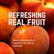 Vivo Electrolyte Powder Peach, Raspberry & Rosehip