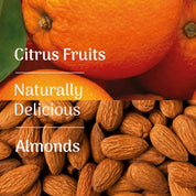 Classico Natural Energy Bar (BBD - 03/11/2026)