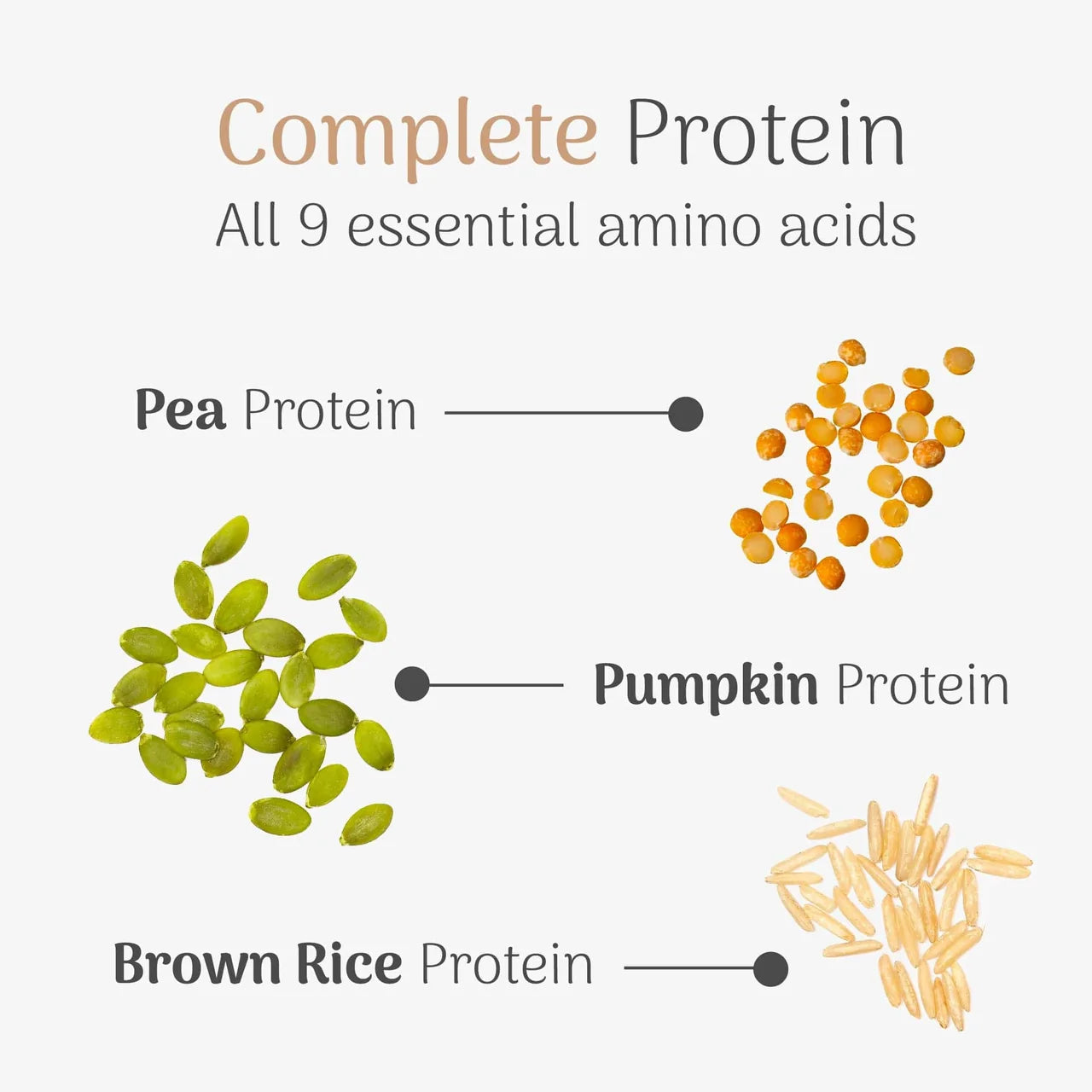 Molto - High Protein Pawder