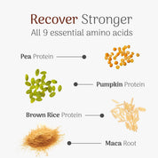 Nova - Recovery Protein Powder