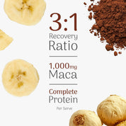 Nova - Recovery Protein Powder